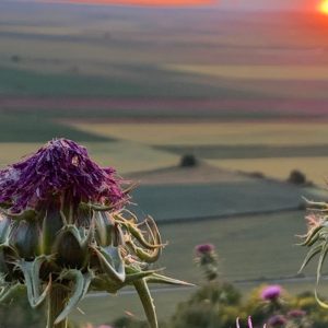 Inscripción: CUADERNO DE VIAJE (retiro cultural en Urueña) - 27 a 31 MAY 2026