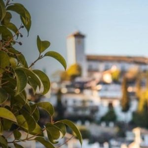 Inscripción: GRANADA. GUÍA EMOCIONAL. María Lejárraga, Manuel de Falla y Federico García Lorca